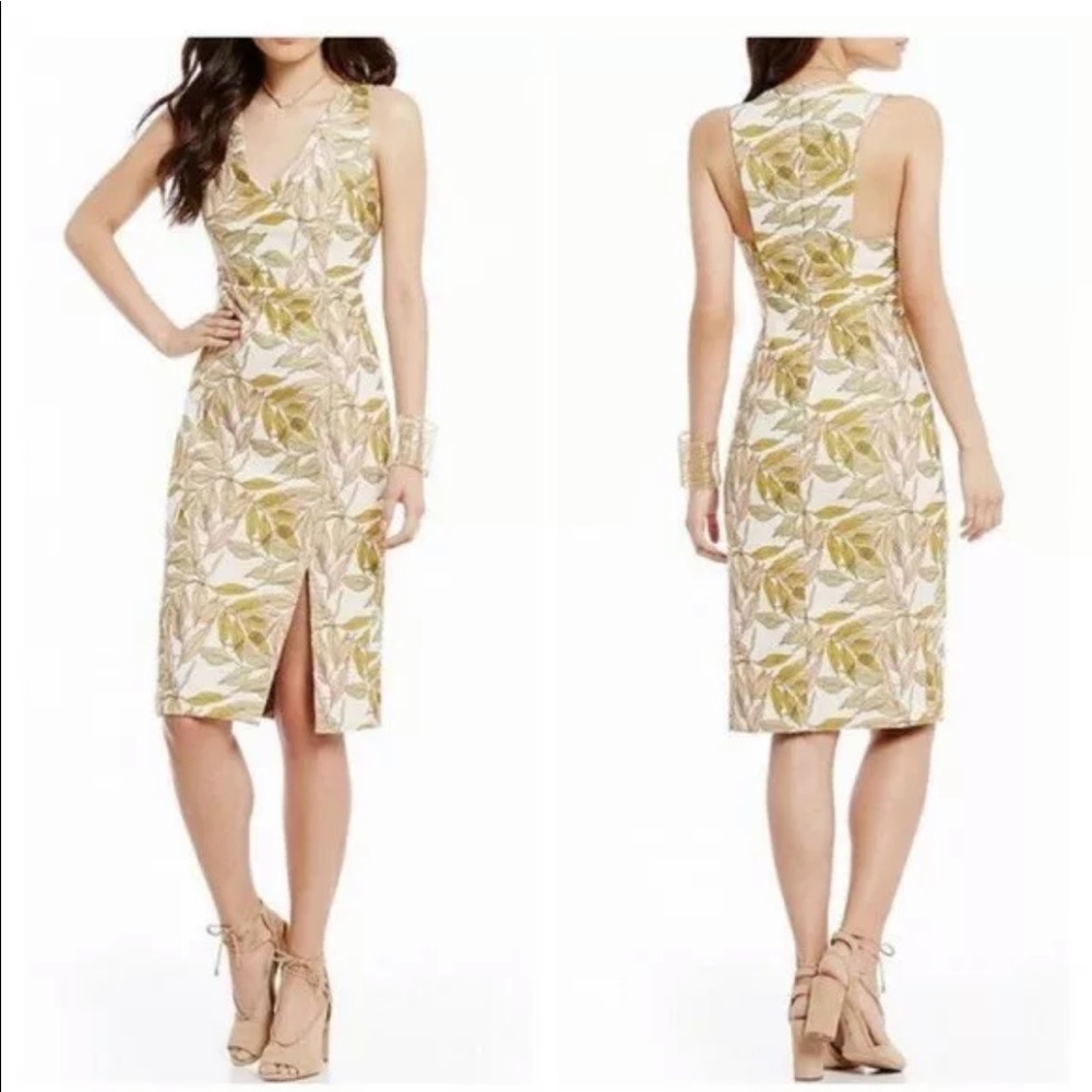 Gianni Bini Beckham dress